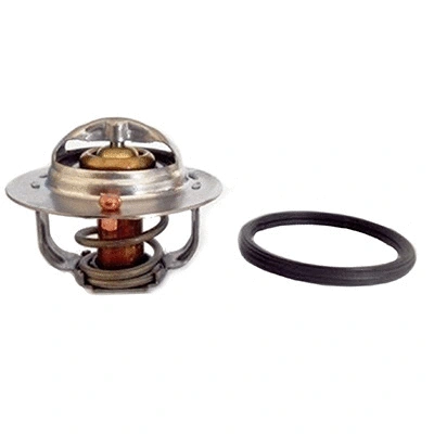 Thermostat, coolant (94.832)