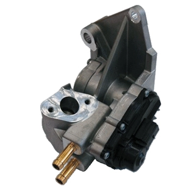 EGR Valve (83.819A2)