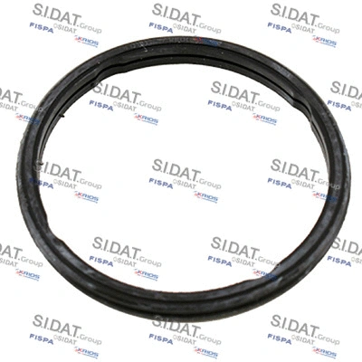 Seal, thermostat (94.01693)