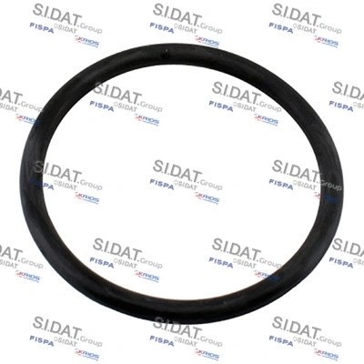 Seal, thermostat (94.01676)