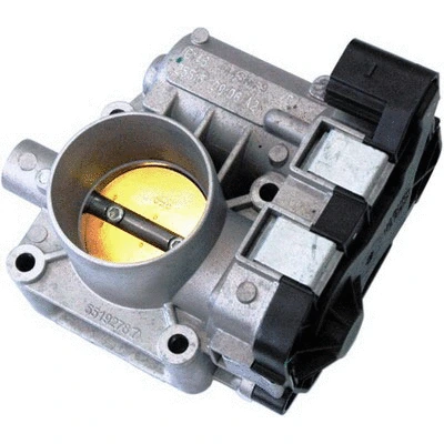 Throttle Body (88.067)