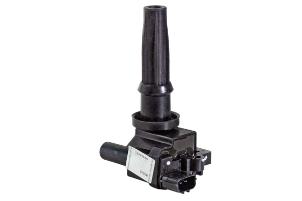 Ignition Coil (85.30001)
