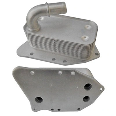 Oil Cooler, engine oil (590148)