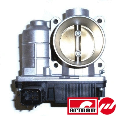 Throttle Body (88.181AS)