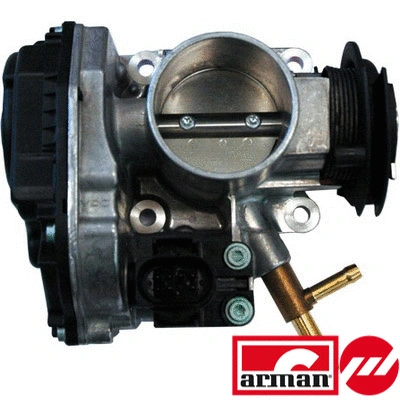 Throttle Body (88.102AS)