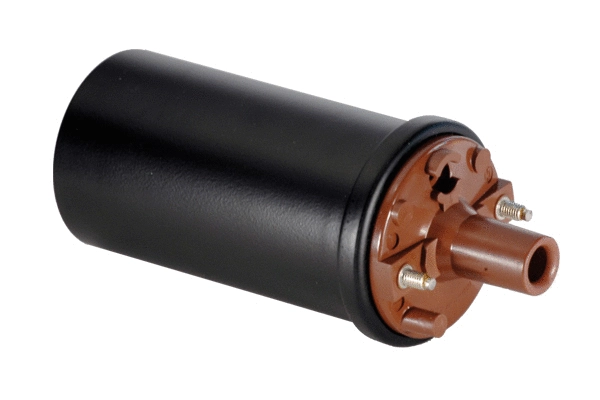 Ignition Coil (85.30079)