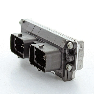 Control Unit, engine management (2.43116)