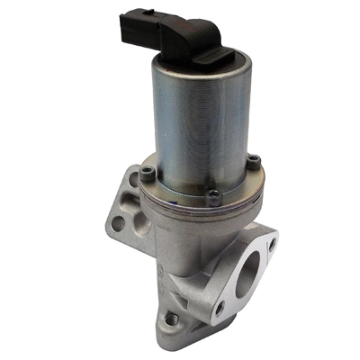 EGR Valve (83.896)