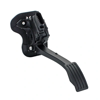 Accelerator Pedal Unit (84.2066)