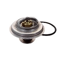 Thermostat, coolant (94.171)