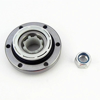 Wheel Bearing Kit (460141)
