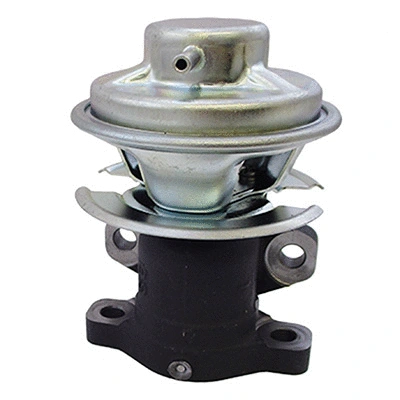 EGR Valve (83.1147)