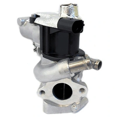 EGR Valve (83.1105)