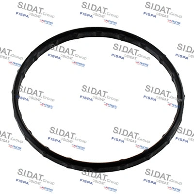 Seal, thermostat (94.01695)