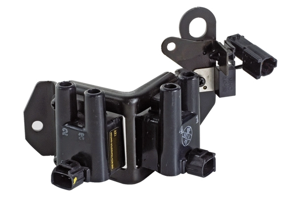 Ignition Coil (85.30010)