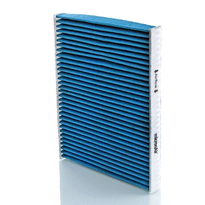 Filter, cabin air (BL852)