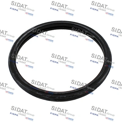 Seal, thermostat (94.01678)