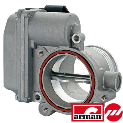 Throttle Body (88.118AS)