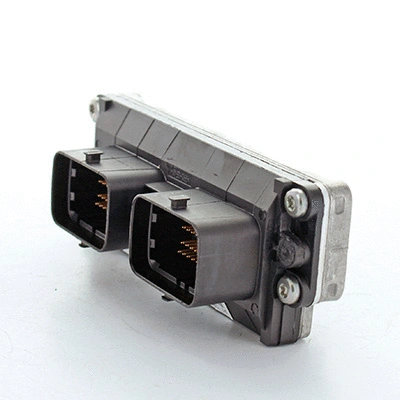 Control Unit, engine management (2.43103)