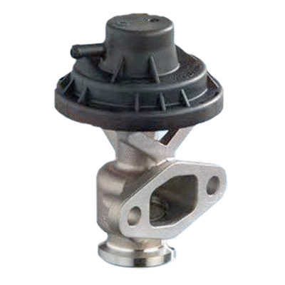EGR Valve (83.717)