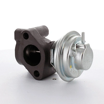 EGR Valve (83.1081)