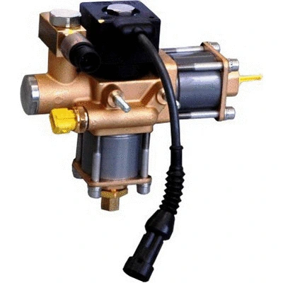 Valve, injection system (81.162)