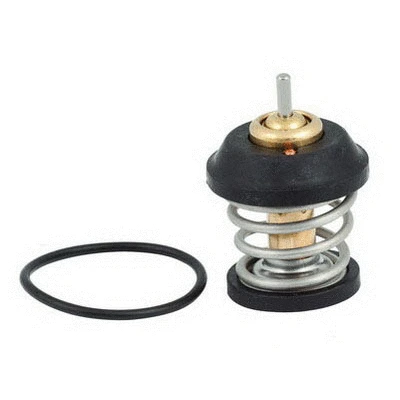 Thermostat, coolant (94.616)