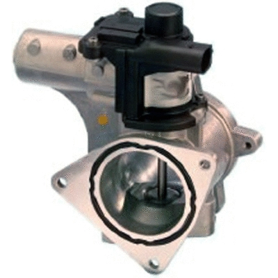 EGR Valve (83.841)