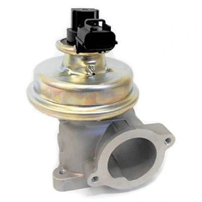EGR Valve (83.1122)