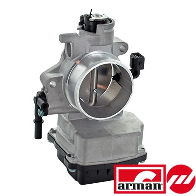 Throttle Body (88.046AS)