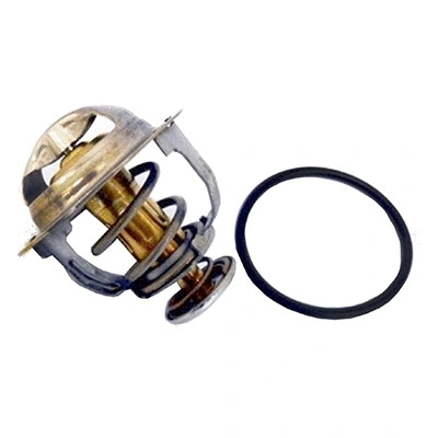 Thermostat, coolant (94.821)