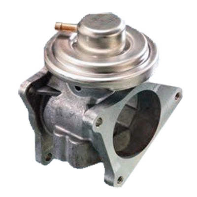 EGR Valve (83.617AS)