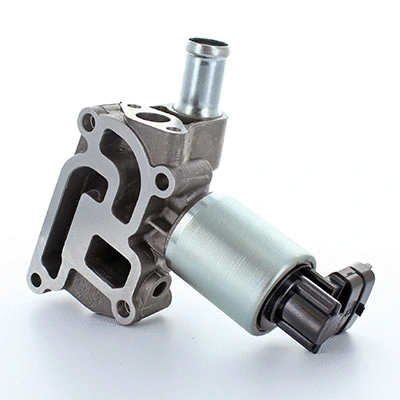 EGR Valve (83.715)