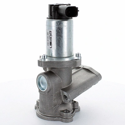 EGR Valve (83.4830)