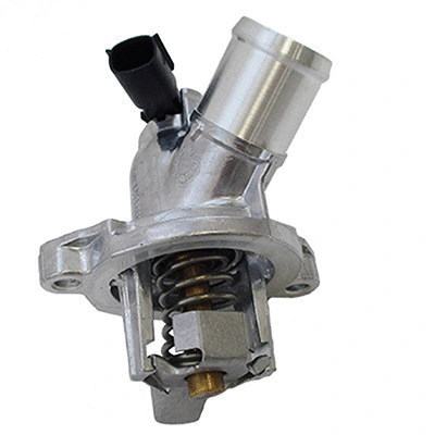 Thermostat, coolant (94.861)