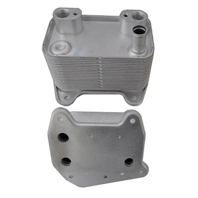 Oil Cooler, engine oil (590127)