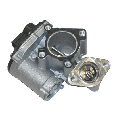EGR Valve (83.817AS)