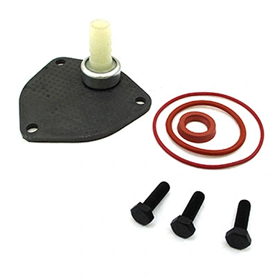 Repair Set, vacuum pump (braking system) (89.298)