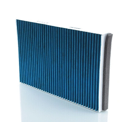 Filter, cabin air (BL514)