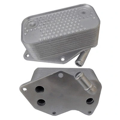 Oil Cooler, engine oil (590122)