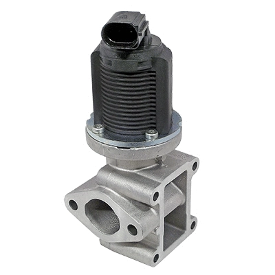 EGR Valve (83.648)
