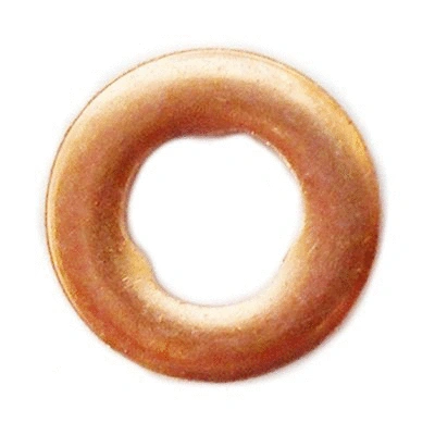 Seal Ring, nozzle holder (83.1396)