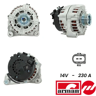 Alternator (A12VA0516AS)