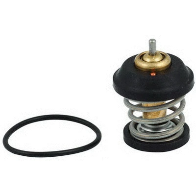 Thermostat, coolant (94.758)