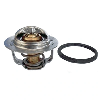 Thermostat, coolant (94.834)