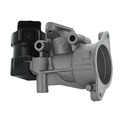 EGR Valve (83.1061R)