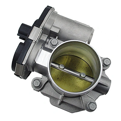 Throttle Body (88.448)