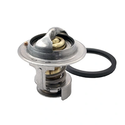 Thermostat, coolant (94.236)