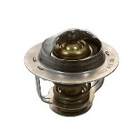 Thermostat, coolant (94.379)