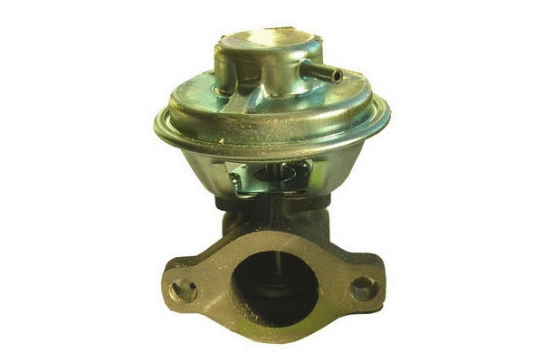 EGR Valve (83.798)